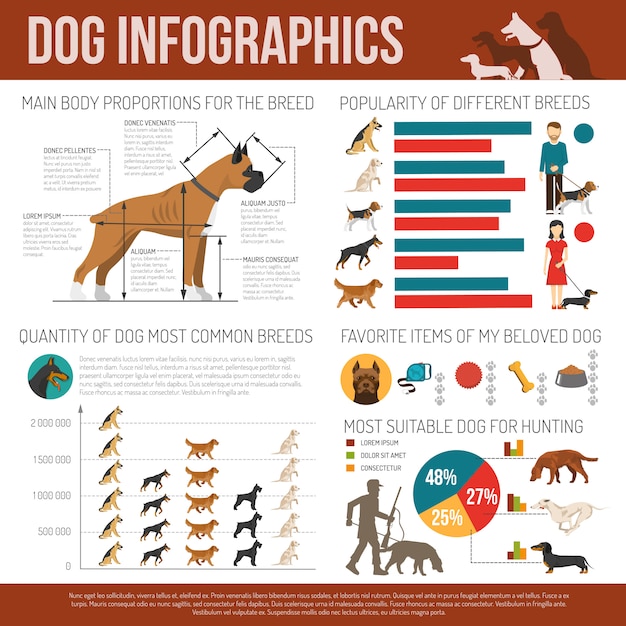 Zestaw Infografiki Dla Psa