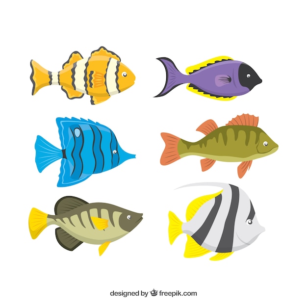 Bezpłatny wektor zestaw kolorowych ryb w stylu płaski
