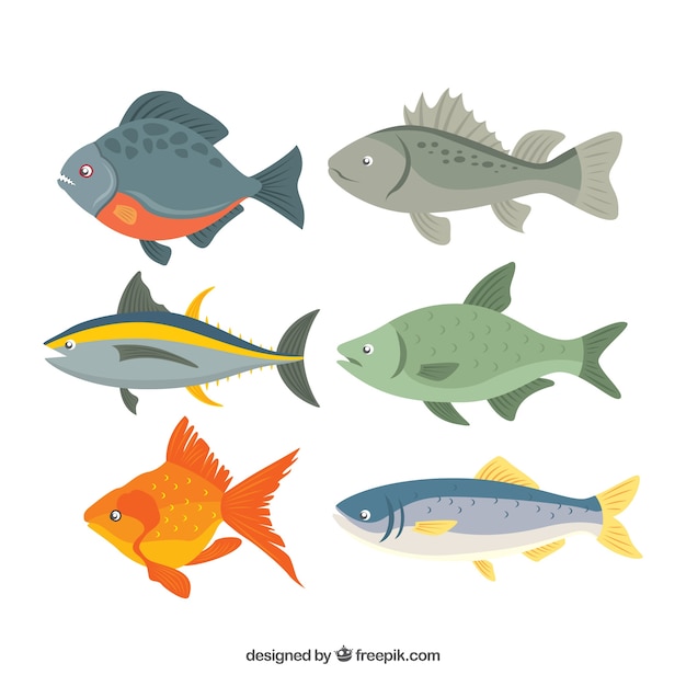 Bezpłatny wektor zestaw kolorowych ryb w stylu płaski
