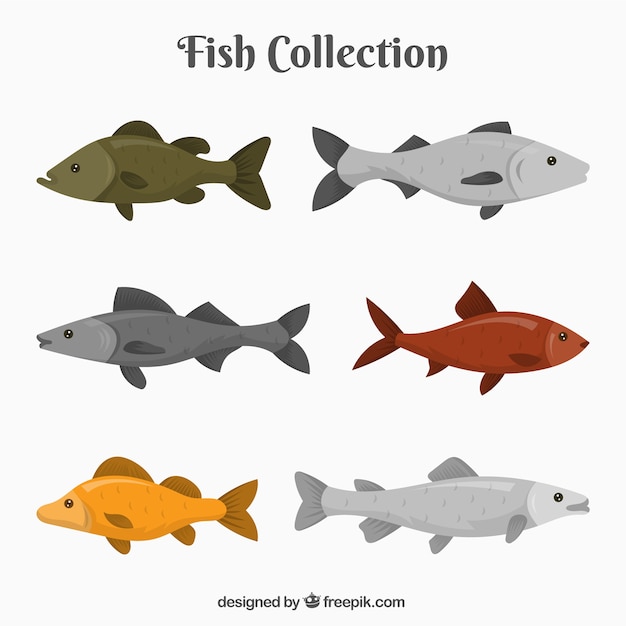Bezpłatny wektor zestaw kolorowych ryb w stylu wyciągnąć rękę