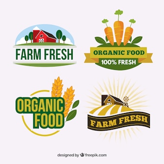Zestaw logo dla firm z branży żywności ekologicznej