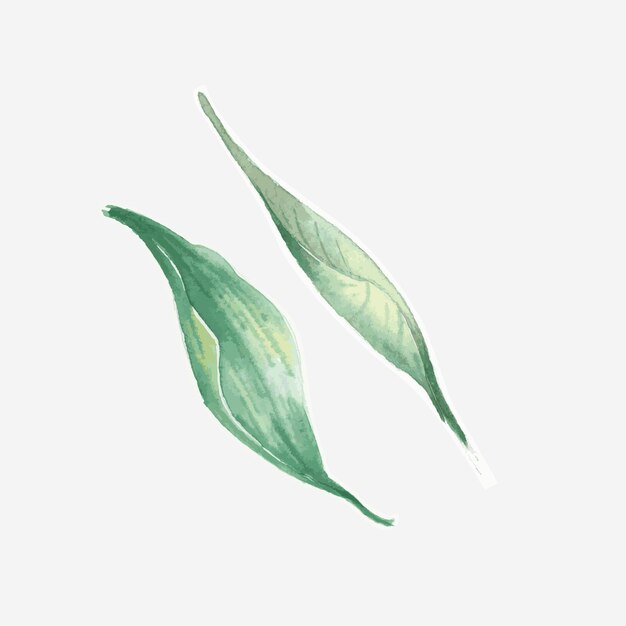 Zestaw naklejek akwarelowych z zielonym liściem