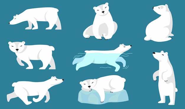 Bezpłatny wektor zestaw niedźwiedzia polarnego