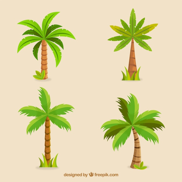 Zestaw Pięknych Palm