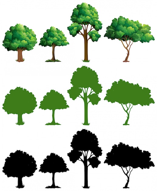 Bezpłatny wektor zestaw projektu drzewa