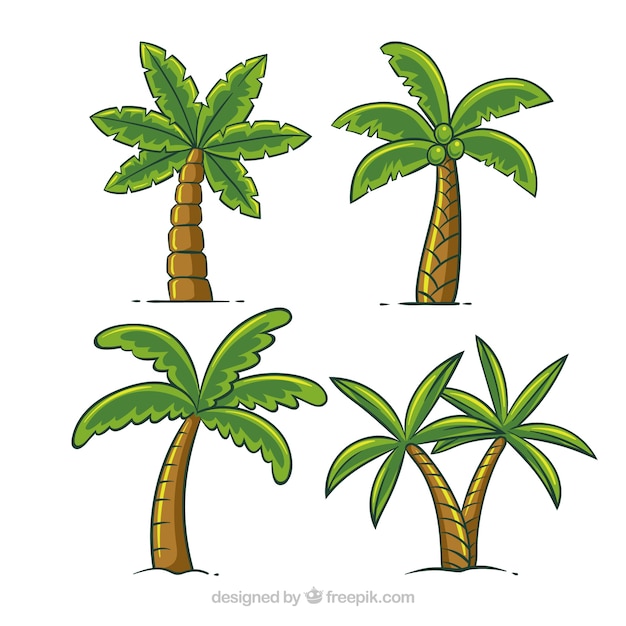 Zestaw rę cznie rysowane palmy