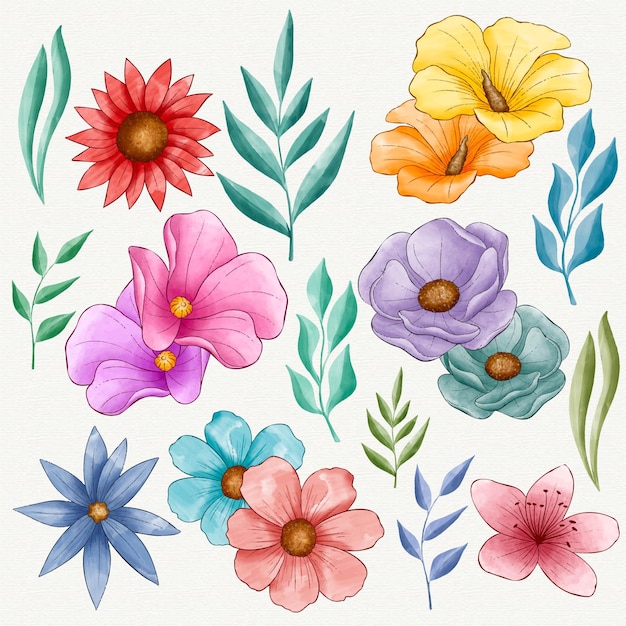 Bezpłatny wektor zestaw ręcznie malowanych pięknych kwiatów