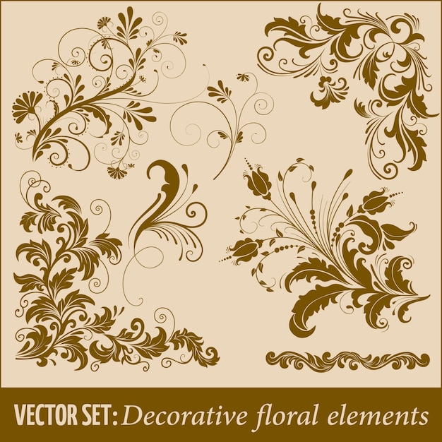 Zestaw Ręcznie Rysowane Dekoracyjne Elementy Kwiatowe Dla Projektowania. Element Dekoracji Strony.