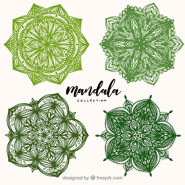 Zestaw ręcznie rysowanych zielonych mandali