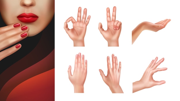 Bezpłatny wektor zestaw różnych dłoni z pokazaniem gestów i wypielęgnowanymi paznokciami