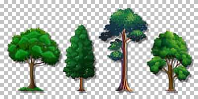 Bezpłatny wektor zestaw różnych drzew na przezroczystym tle