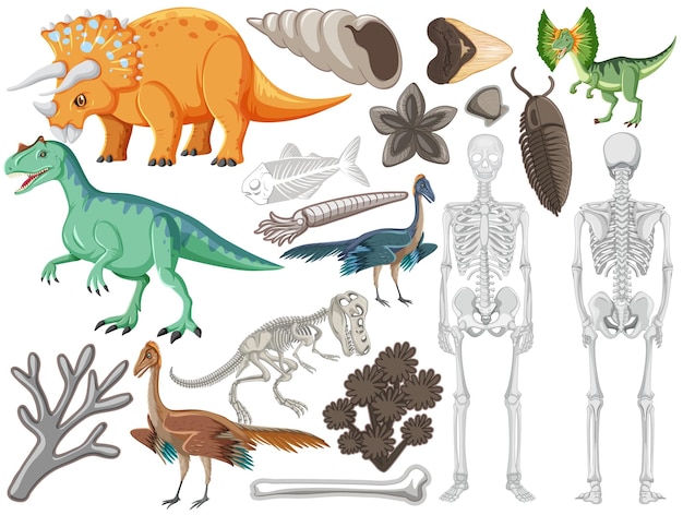 Bezpłatny wektor zestaw różnych prehistorycznych zwierząt dinozaurów