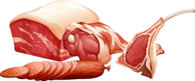 Zestaw różnych surowych mięs