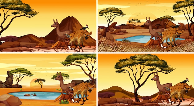 Bezpłatny wektor zestaw scen ze zwierzętami na pustyni