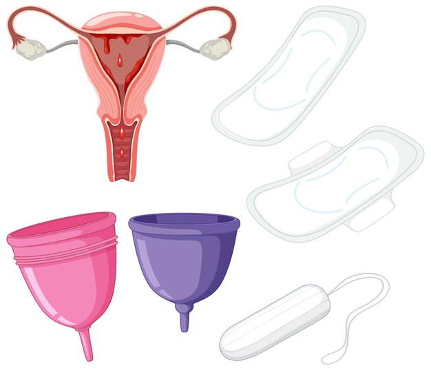 Bezpłatny wektor zestaw sprzętu menstruacyjnego