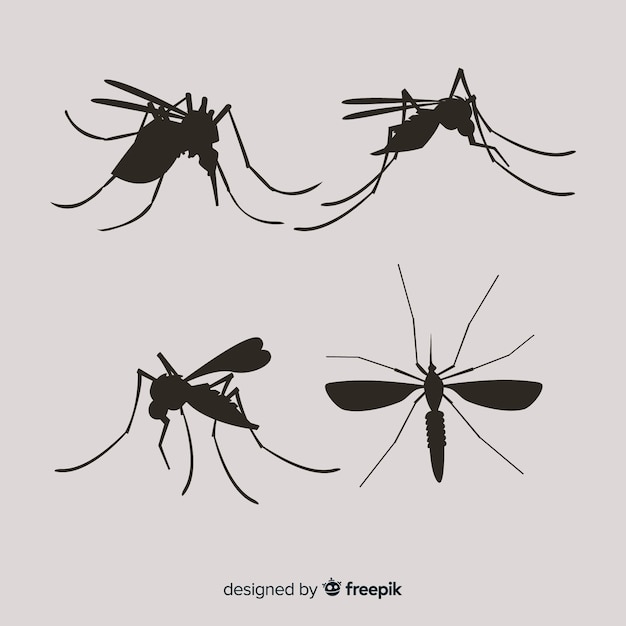 Zestaw sylwetki komarów