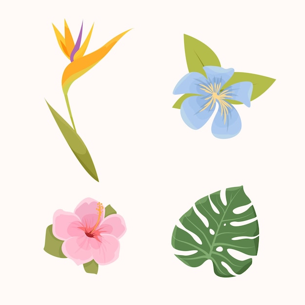 Bezpłatny wektor zestaw tropikalny kwiat i liść