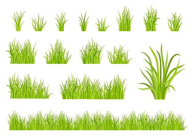 Zestaw wzór zielonej trawy
