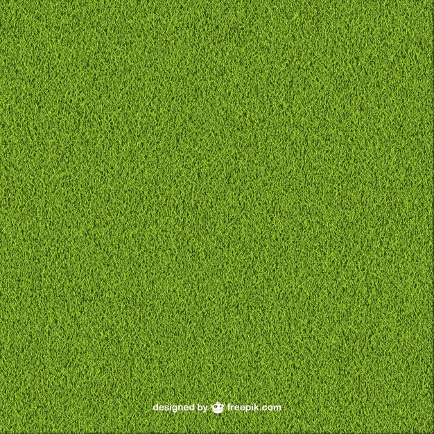 Zielona trawa w tle
