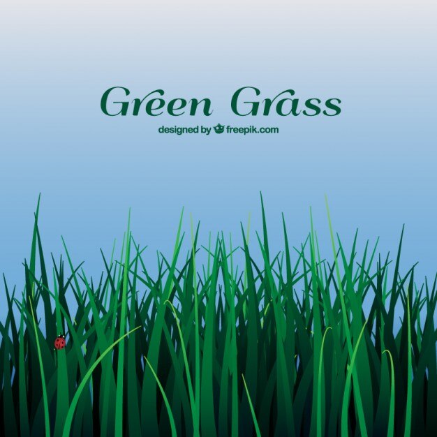 Bezpłatny wektor zielona trawa w tle