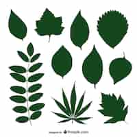 Bezpłatny wektor zielone liście kolekcji sylwetka wektor