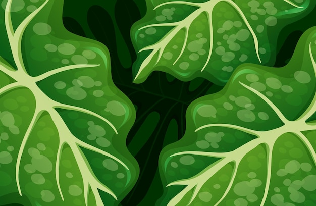 Zielone tropikalne liście w tle