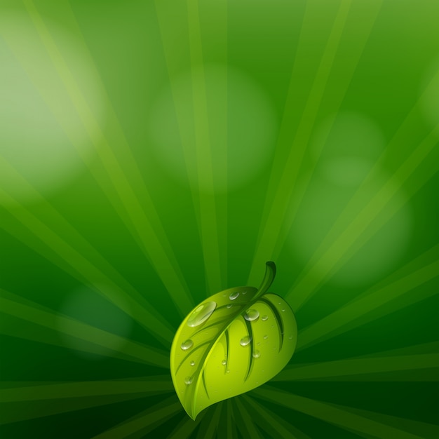 Zielony kolor papeterii z liściem