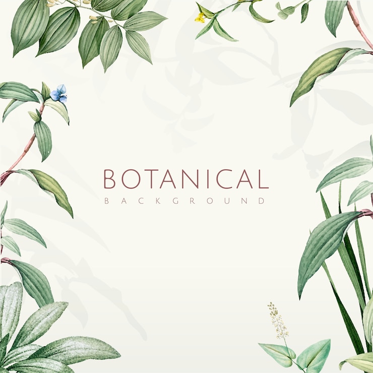 Bezpłatny plik Wektor zielony liść botaniczny tło projekt