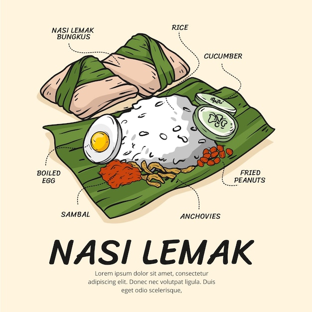 Bezpłatny wektor zilustrowane ręcznie rysowane nasi lemak