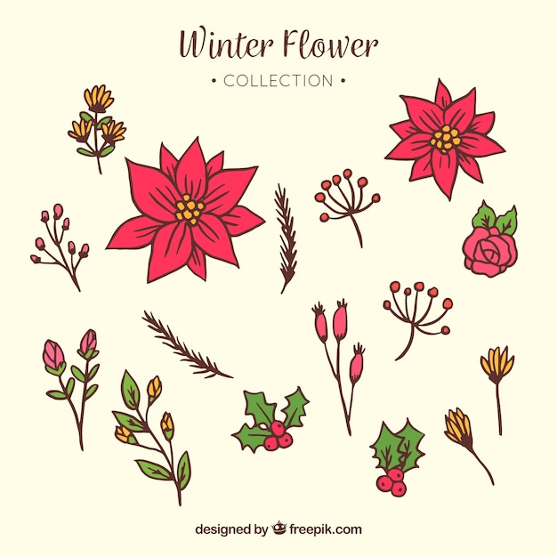 Bezpłatny wektor zimowa kolekcja czerwona ręka rysujący kwiaty