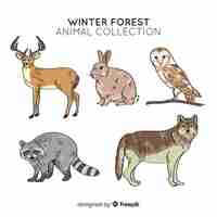 Bezpłatny wektor zimowa kolekcja zwierząt leśnych