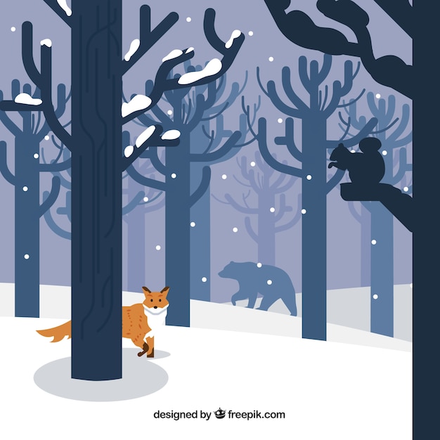Zimowe Zwierząt Leśnych