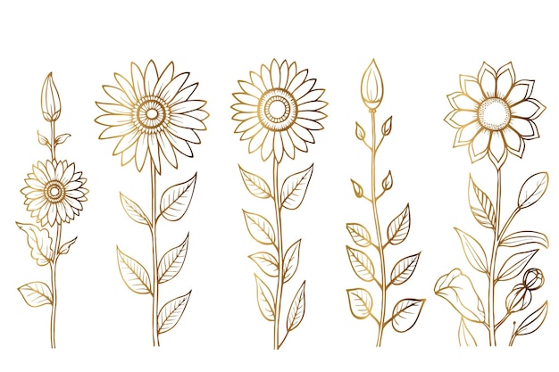 Bezpłatny wektor złoty ręcznie rysowany zestaw konturów kwiatowych