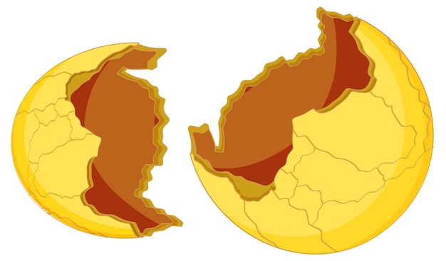 Bezpłatny wektor Żółty pęknięty jajko na białym tle