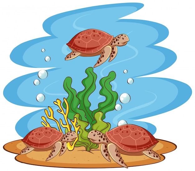 Bezpłatny wektor Żółwie morskie pływające w oceanie