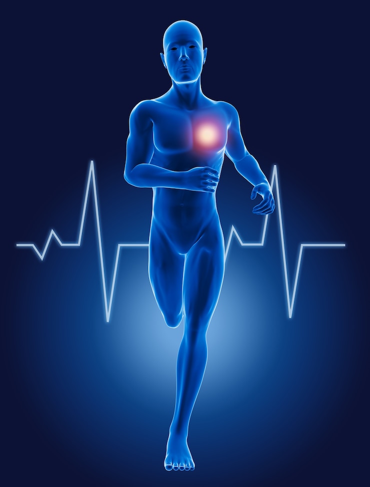 Bezpłatny plik Zdjęcie 3d kolejny medyczny człowiek z biciem serca ekg