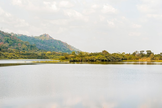 Bezpłatne zdjęcie afrykański widok przyrody z roślinnością i jeziorem