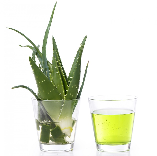 Aloevera na stole