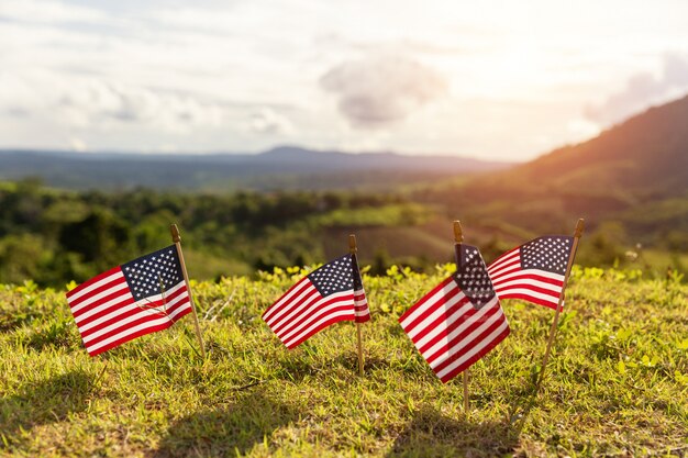 amerykańskie flagi na trawie