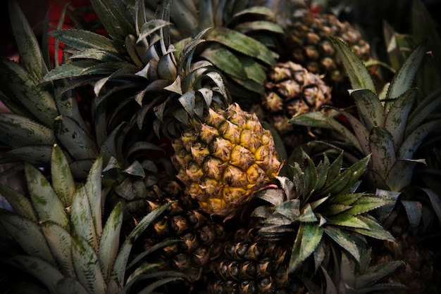 Ananas Ananas Owoce cytrusowe Juicy Nutrition Pina