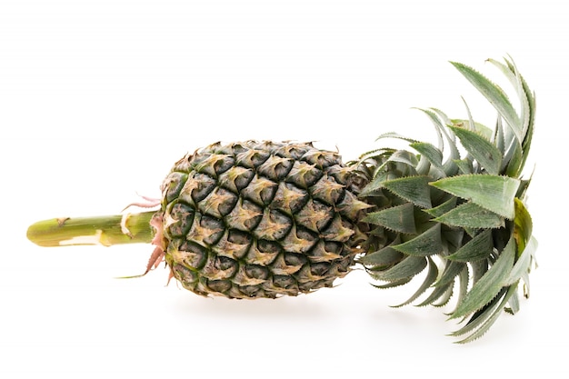 ananas plasterek żółtego zdrowie zielony