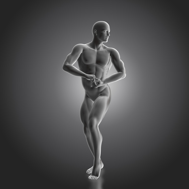 Bezpłatny plik Zdjęcie anatomia