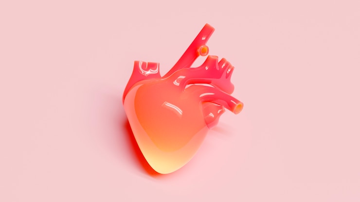 Bezpłatny plik Zdjęcie anatomiczne serce z różowym tłem