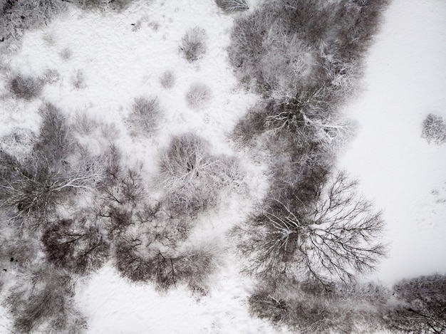 Antena strzał śnieżna ziemia z bezlistnymi drzewami
