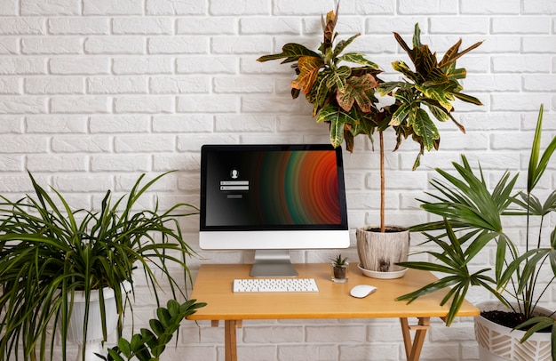 Aranżacja biurka z komputerem i roślinami
