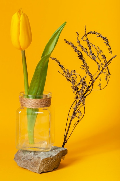 Bezpłatne zdjęcie aranżacja z tulipanem w wazonie