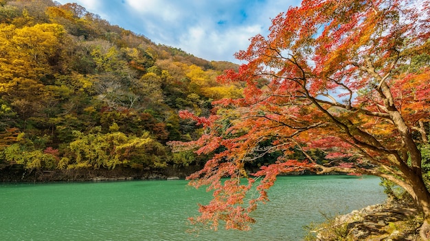 Arashiyama jesienią nad rzeką w Kioto w Japonii.