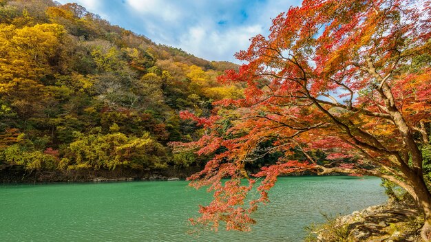 Arashiyama jesienią nad rzeką w Kioto w Japonii.