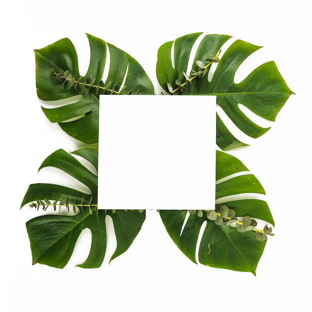 Arkusz papieru na zielonych liściach