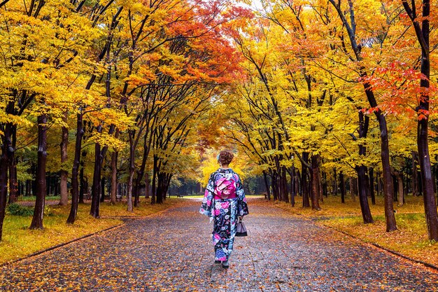 Asian kobieta ubrana w tradycyjne japońskie kimono w jesiennym parku.
